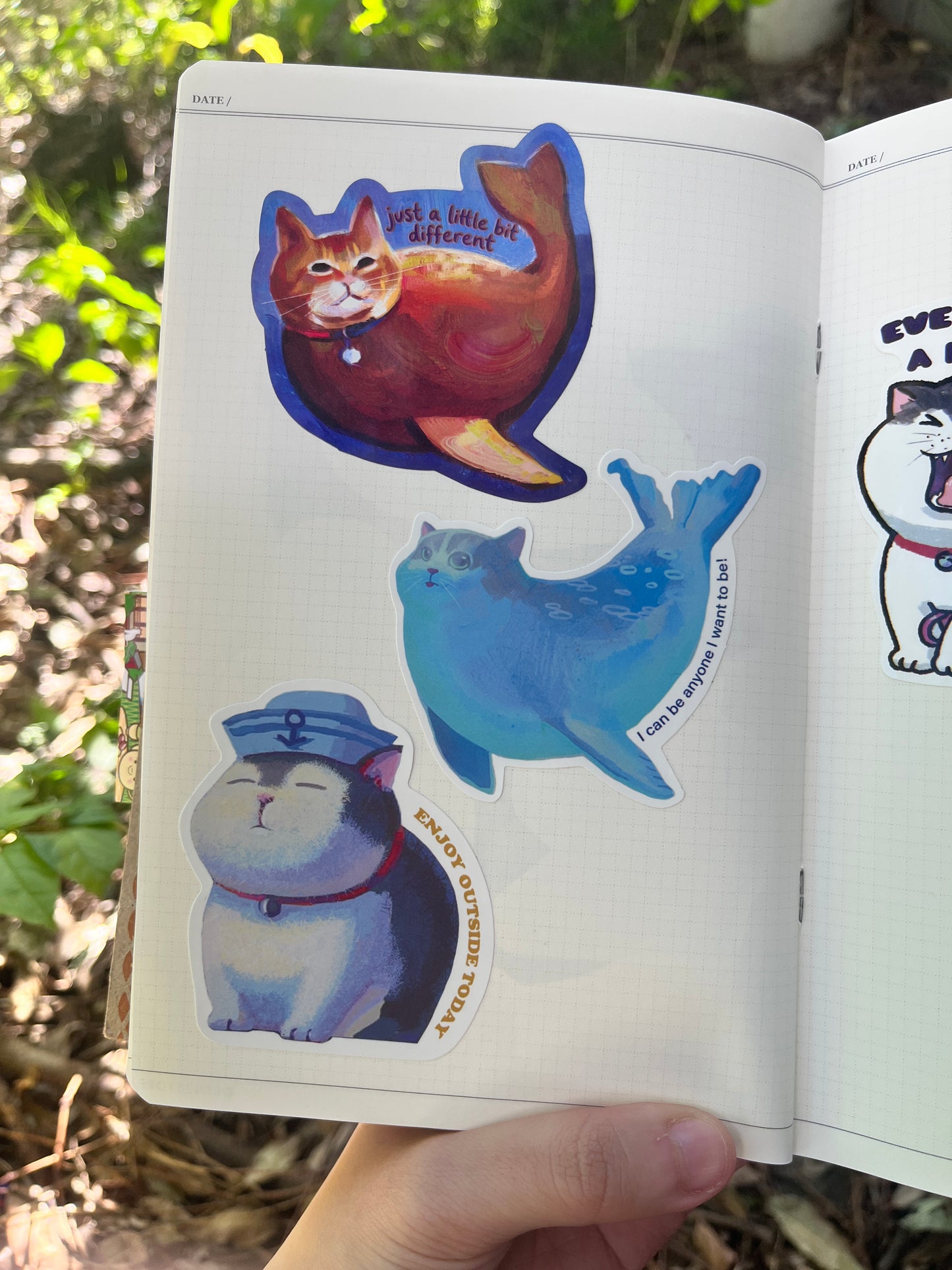 Cat Seal Sticker