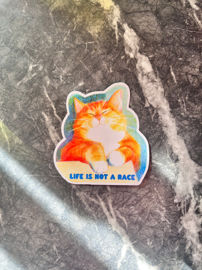 Life Is Not A Race