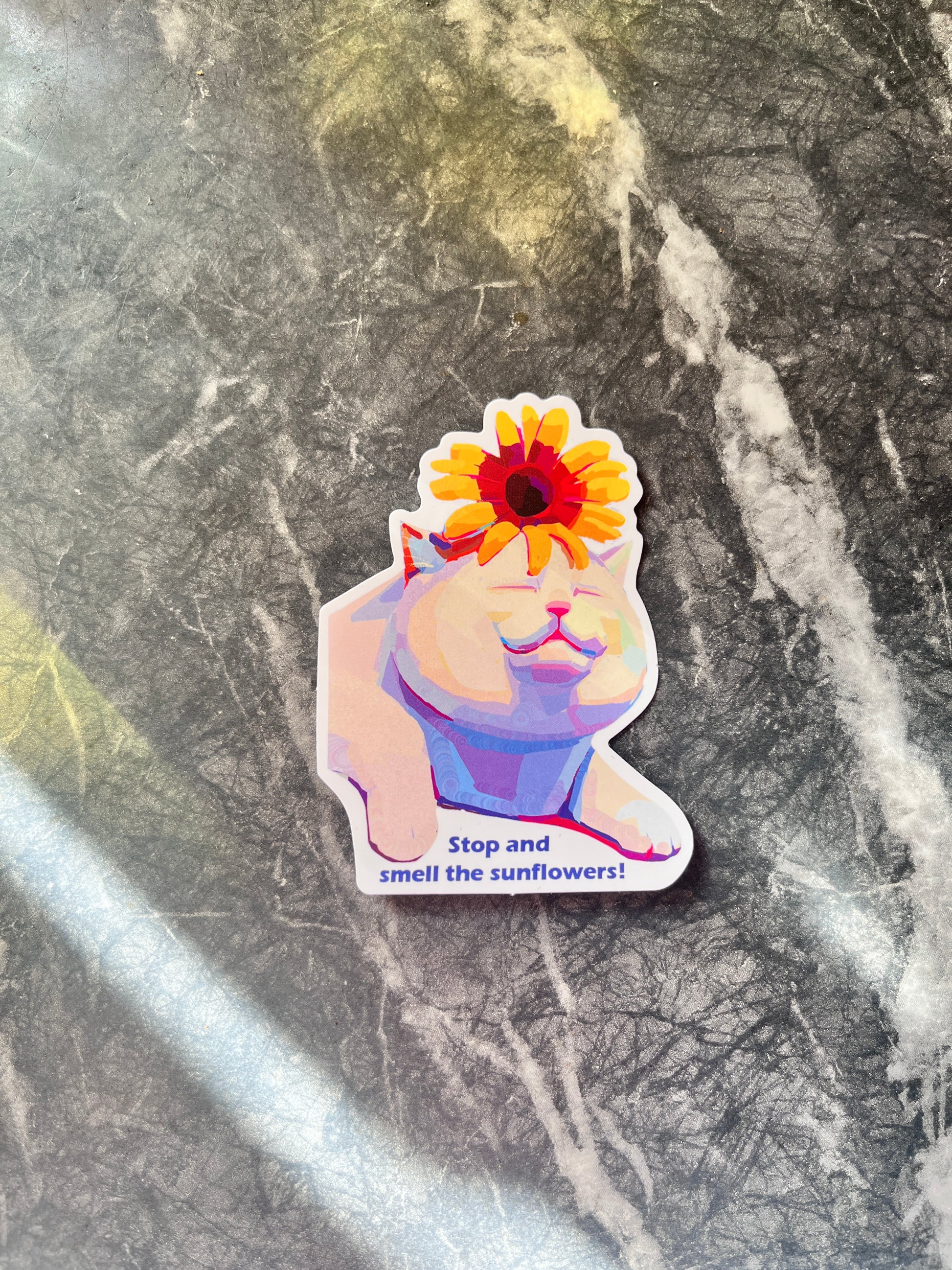 Stop and smell the sunflowers cat sticker